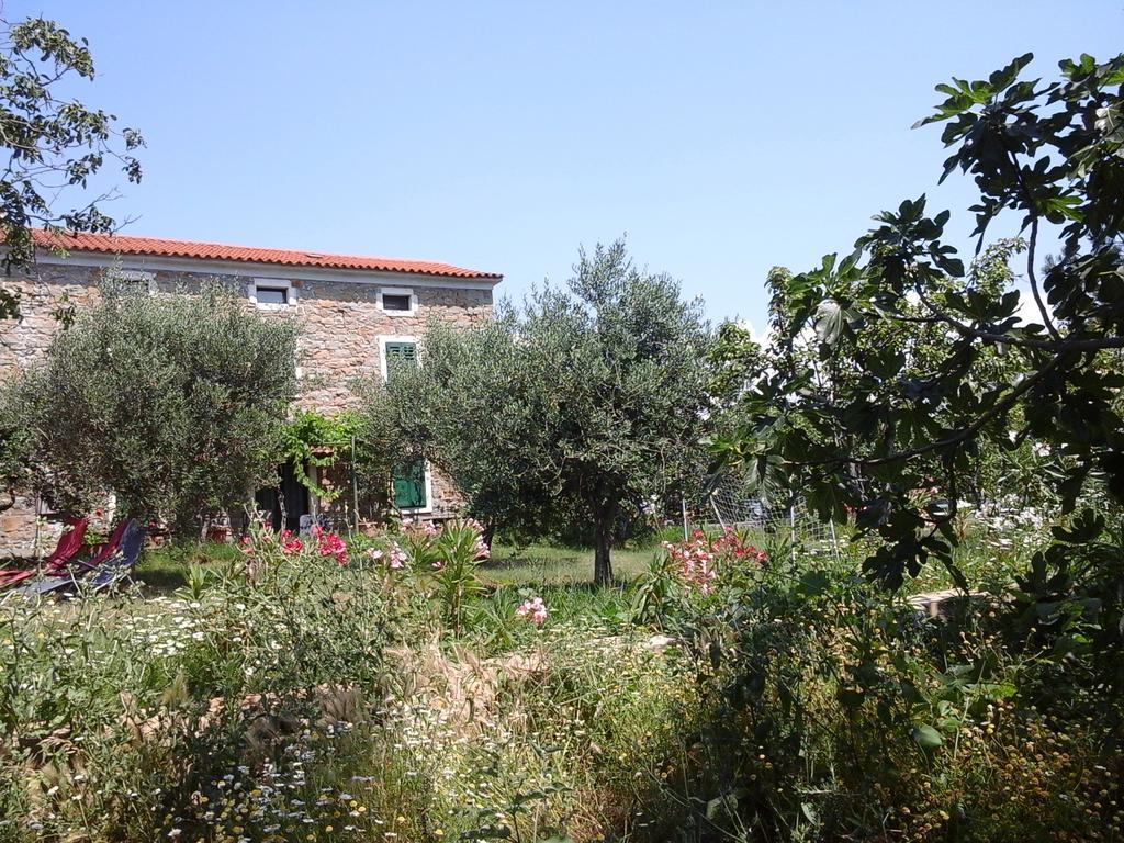 הוילה איזולה Kmetija Medljan מראה חיצוני תמונה